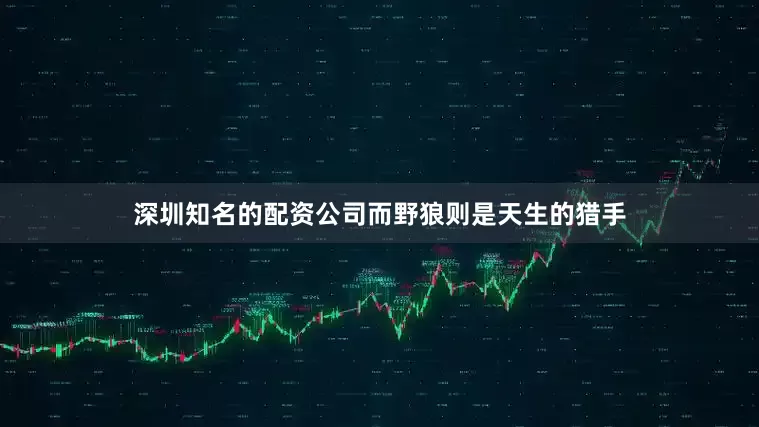 深圳知名的配资公司而野狼则是天生的猎手